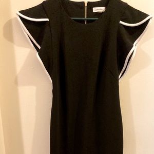Calvin Klein Size 2 Black and White Dress